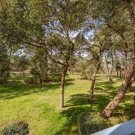 Le Domaine Du Golf De Pinsolle - Maeva - 2 Pieces 5 Personnes - Confort Mae-2674 Apartmán